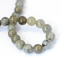Natural Labradorite Round Bead Strands&nbsp;X-G-E334-4mm-19