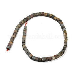 Natural Polychrome Jasper/Picasso Stone/Picasso Jasper Beads Strands&nbsp;G-Q1008-B13
