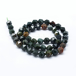 Natural Bloodstone Beads Strands&nbsp;G-F523-16-8mm