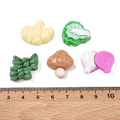 Opaque Resin Imitation Vegetable Cabochons&nbsp;RE-CBAE4BE-01