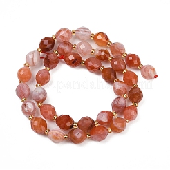 Natural South Red Agate Beads Strands&nbsp;G-N342-149E