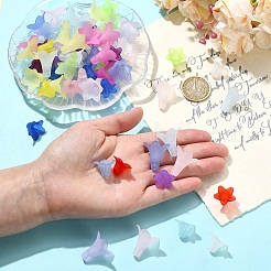 400個2スタイルの透明アクリルビーズ  艶消し  花  ミックスカラー  22.5x22x22mm  穴：2mm&nbsp;FACR-YW0001-11