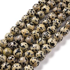 Natural Dalmatian Jasper Beads Strands&nbsp;G-Q462-10mm-30