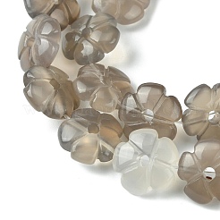 Natural Grey Agate Bead Strands&nbsp;G-H023-B20-01