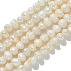 天然養殖淡水パールビーズ連売り  ポテト  貝殻色  4.5~6.5x4~6.5mm  穴：0.6mm  約60~73個/連  12.36~13.66インチ（31.4~34.7cm）&nbsp;PEAR-N013-05H