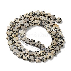 Natural Dalmatian Jasper Beads Strands&nbsp;G-B138-C08-01