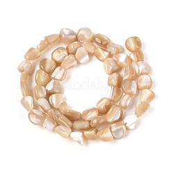 天然トロチッドシェル/トロカスシェルビーズ連売り  ナゲット  バリーウッド  5~11x5~8x3.5~6mm  穴：0.8~0.9mm  約51~54個/連  15.55~15.75''（39.5~40センチメートル）&nbsp;BSHE-T014-23
