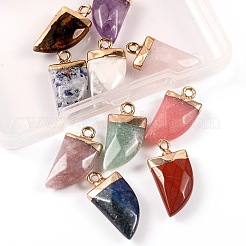 10Pcs 10 Style Natural Gemstone Pendants&nbsp;G-LS0002-14