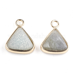 Natural Labradorite Pendants&nbsp;G-S344-10C
