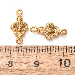 304 Stainless Steel Connector Charms&nbsp;STAS-N124-53G