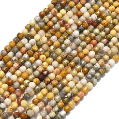 Natural Crazy Lace Agate Beads Strands&nbsp;G-A260-A11-01