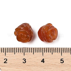 天然石カーネリアンビーズ  ローズ  11.5~12.5x12~12.5x8~9mm  穴：1mm&nbsp;G-O156-C-30