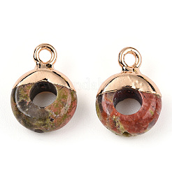 Natural Unakite Flat Round/Donut Charms&nbsp;G-I347-08