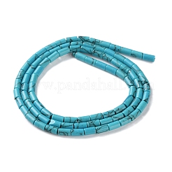 Dyed Synthetic Turquoise Beads Strands&nbsp;G-B124-A03-01