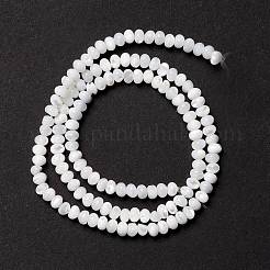 天然トロチッドシェル/トロカスシェルビーズ連売り  そろばんビーズ  貝殻色  2.5~3x4mm  穴：0.9mm  約133~135個/連  15.94インチ（40.5cm）&nbsp;X-SSHEL-O001-24B-02