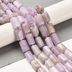 Natural Kunzite Beads Strands&nbsp;G-N327-06-36