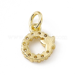 Brass Micro Pave Clear Cubic Zirconia Charms&nbsp;ZIRC-F132-55G