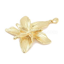 Rack Plating Brass Pendants&nbsp;KK-Q028-42G