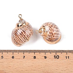 Natural Sea Shell Pendants&nbsp;SSHEL-N038-49