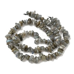 天然石ラブラドライトビーズ連売り  チップ  4~12x3~8x1~6mm  穴：1mm  約14.9インチ〜16.1インチ（38~41cm）&nbsp;G-I225-15A