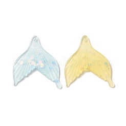 Transparent Resin Pendants&nbsp;FIND-Q092-02