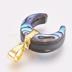 パウアシェルペンダント  真鍮パーツ  ダブルホーン/三日月  ゴールドカラー  22~23x20x6.5~8mm  穴：4x7mm&nbsp;KK-G346-01B