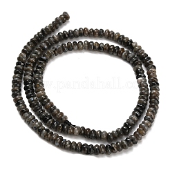 Natural Larvikite Beads Strands&nbsp;G-Z110-B19-2x4mm