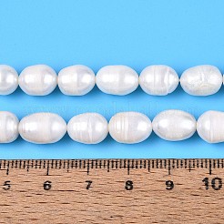 Natural Cultured Freshwater Pearl Beads Strands&nbsp;PEAR-T006-19D
