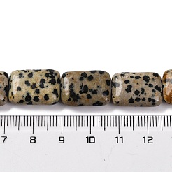 天然石ダルメシアンジャスパービーズ連売り  長方形  18x13.5x5.5mm  穴：1.2mm  約22個/連  15.75インチ（40cm）&nbsp;G-T047-B16-01