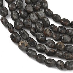 Natural Fluorescent Syenite Rock(Glow under UV Light) Beads Strands&nbsp;GG-C286-A26