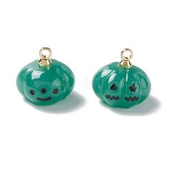 Halloween Opaque Resin Charms&nbsp;RESI-E018-01A