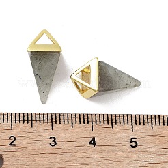 天然石ラブラドライトペンダント  金メッキの真鍮製金具が付いた三角形のチャーム  18.5mm  穴：2x3mm&nbsp;G-A222-02G-09
