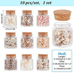 10Pcs Natural Sea Shell Conch Bead & Transparent Glass Bottle Display Decorations&nbsp;AJEW-AB00075