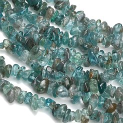 Natural Apatite Beads Strands&nbsp;GG-CBAE051-A06-01
