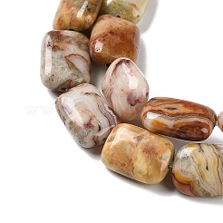 Natural Crazy Lace Agate Beads Strands&nbsp;G-K357-D08-01