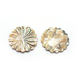 天然パウアシェルペンダント  花  34~35x3~4mm  穴：1.5mm&nbsp;SSHEL-E564-40A