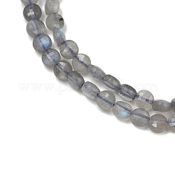 Natural Labradorite Beads Strands&nbsp;G-R462-008-01