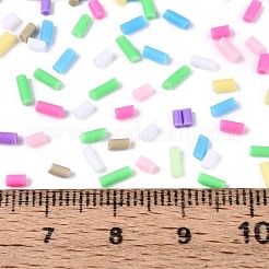 Handmade Polymer Clay Nail Art Decoration Accessories&nbsp;CLAY-T022-07A