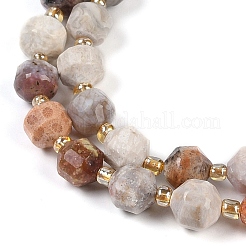 Natural Fossil Coral Beads Strands&nbsp;G-O201B-113F
