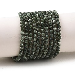 Natural Seraphinite Beads Strands&nbsp;G-K376-A02-4mm