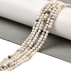 Natural Howlite Beads Strands&nbsp;G-Z068-B05-01