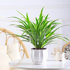 DIY植物ラベルポール吊り下げフック作成キット  鉄製の吊り棒を含む  合金ペンダント  201ステンレスリンクコネクタ  真鍮製のリンキングリングとジャンプリング  ガラスのペンダントとリンク  ミックスカラー  200x33.5x2mm&nbsp;DIY-SC0032-37