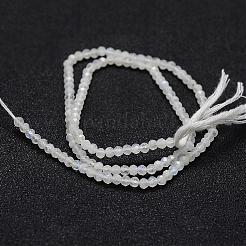Natural Labradorite Bead Strands&nbsp;G-P271-3mm-06
