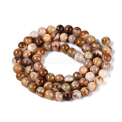 Natural Wood Lace Stone Wooden Jasper Beads Strands&nbsp;G-B128-A04-02