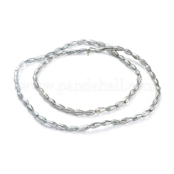 電気メッキガラスビーズ連売り  フル虹メッキ  米の形状  ダークシーグリーン  8.5x4mm  穴：1mm  約72個/連  24.57''（62.4センチメートル）&nbsp;EGLA-H100-FR03