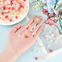 560個 8色 6枚の花びら模造ゼリーアクリルビーズキャップ  ABカラーメッキ  花  ミックスカラー  11.5x10.5x8.5mm  穴：1.4mm  約70PCS /カラー&nbsp;OACR-DC0001-05