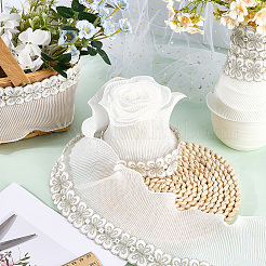 Polyester Lace Trim Ribbon&nbsp;OCOR-WH20005-44B