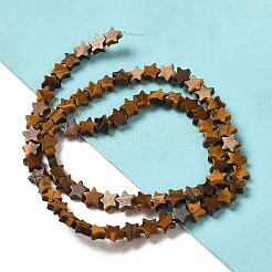 天然石タイガーアイビーズ連売り  スター  6x5.5x2mm  穴：0.8mm  約75個/連  14.57インチ（37cm）&nbsp;G-G085-B03-02