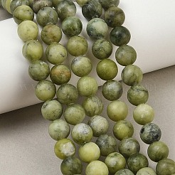 Natural Taiwan Jade Beads Strands&nbsp;X-GSR032