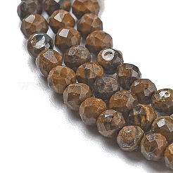 Natural Tiger Iron Beads Strands&nbsp;G-B120-A01-01